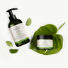 Pack Cuidado Intensivo: Champú + Mascarilla - Labeau Organic